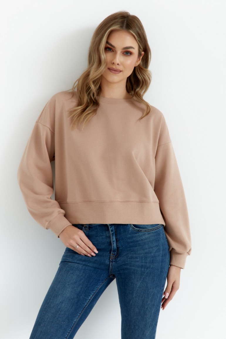 DM1052 Bluza dresowa ze ściągaczem - mocca